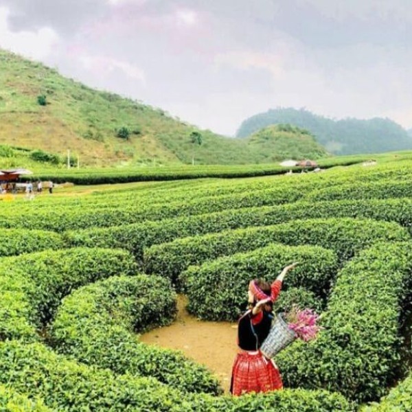 SAPA - LAI CHÂU - ĐIỆN BIÊN - MỘC CHÂU - MAI CHÂU