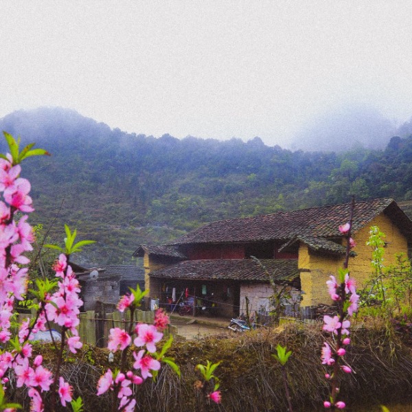 HÀ GIANG - CAO NGUYÊN ĐÁ ĐỒNG VĂN  ĐÈO MÃ PÌ PÈNG - CỘT CỜ LŨNG CÚ - BẢN LÔ LÔ CHẢI